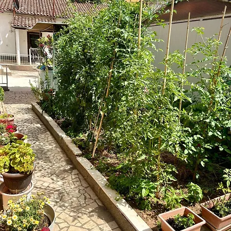 City Center With Balcony Homestay